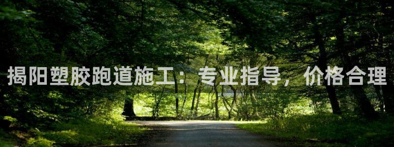 尊龙游戏官网游戏特色：揭阳塑胶跑道施工：专业指导，价格合理