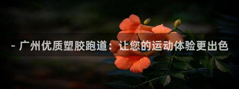 尊龙凯时代理：- 广州优质塑胶跑道：让您的运动体验更