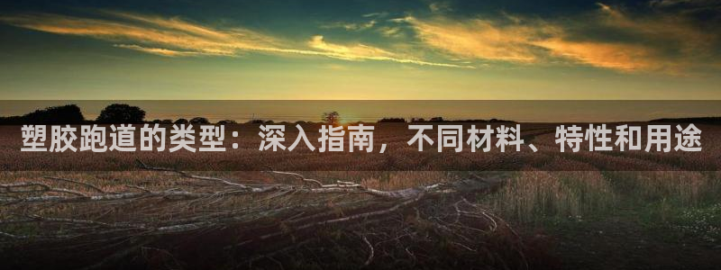 尊龙人生就是博一下首页：塑胶跑道的类型：深入指南，不