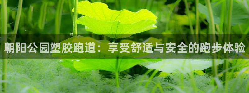 尊龙ag旗舰厅登录 租车app下载：朝阳公园塑胶跑道：享受舒适与安全的跑步体验