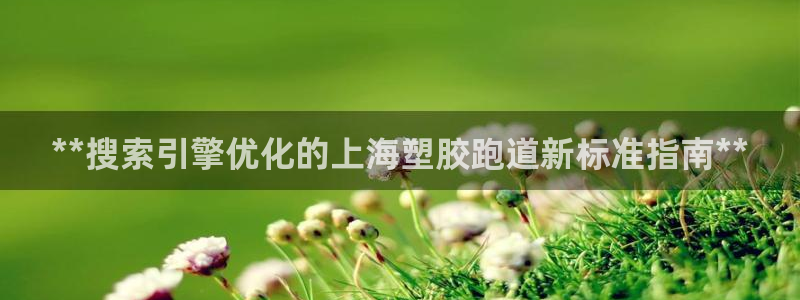 尊龙 6：**搜索引擎优化的上海塑胶跑道新标准指南**