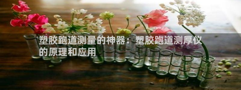 尊龙集团有限公司官网：塑胶跑道测量的神器：塑胶跑道测