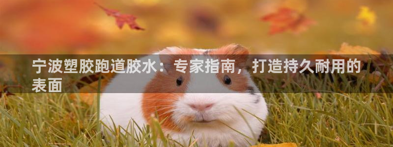 尊龙集团有限公司：宁波塑胶跑道胶水：专家指南，打造持久耐用的
表面