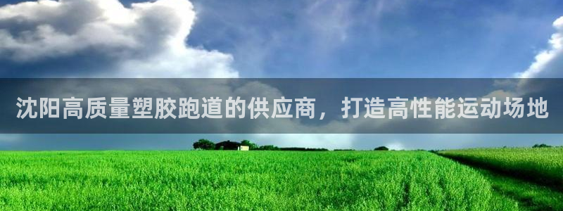 尊龙d88官网确来就送38：沈阳高质量塑胶跑道的供应商，打造高性能运动场地