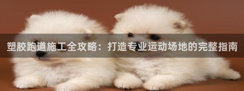 凯时ag旗舰厅登录：塑胶跑道施工全攻略：打造专业运动