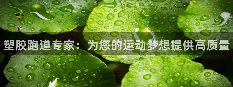 d88尊龙z6：塑胶跑道专家：为您的运动梦想提供高质