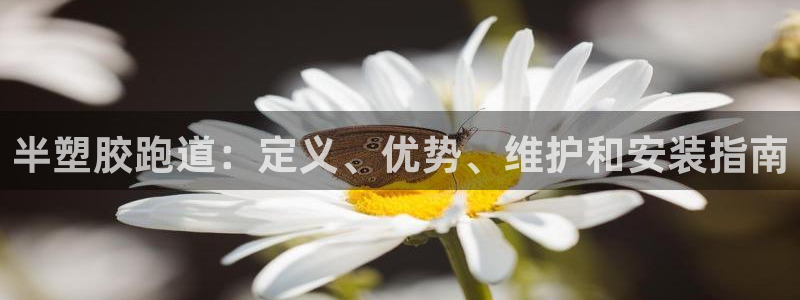 尊龙凯时国际：半塑胶跑道：定义、优势、维护和安装指南
