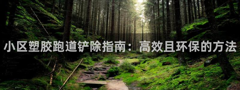 尊龙官方APP下载：小区塑胶跑道铲除指南：高效且环保的方法