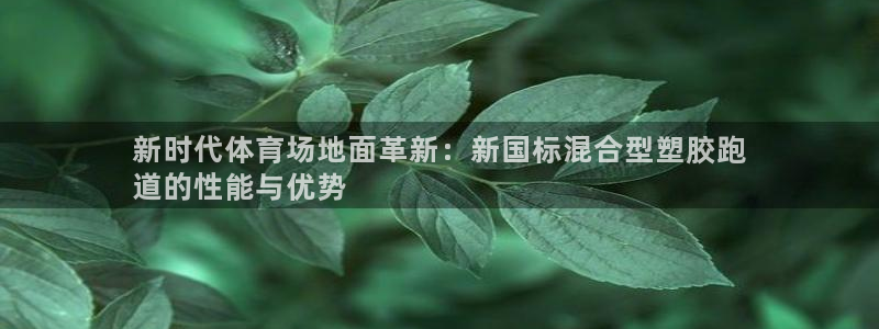 尊龙凯时是大平台吗：新时代体育场地面革新：新国标混合型塑胶跑
道的性能与优势