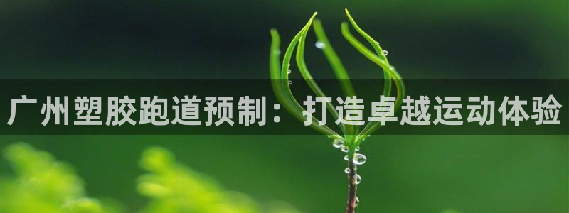 尊龙版末代皇帝：广州塑胶跑道预制：打造卓越运动体验