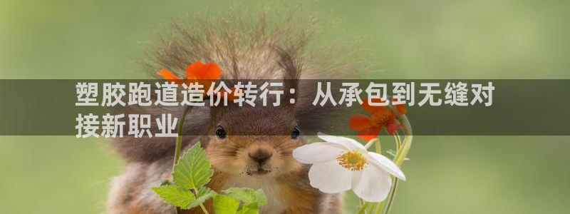 尊龙凯时ag旗舰厅：塑胶跑道造价转行：从承包到无缝对