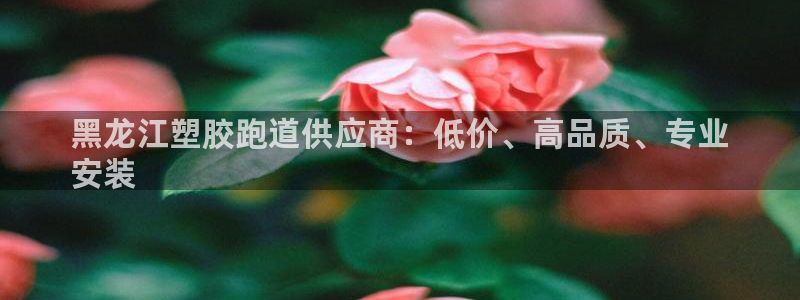 尊龙z6官网ag：黑龙江塑胶跑道供应商：低价、高品质、专业
安装