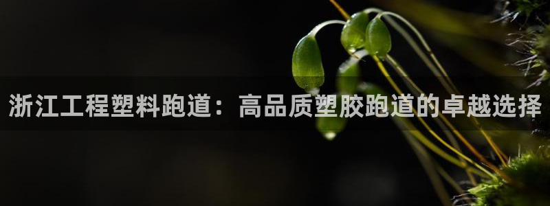 最新凯时官网网址：浙江工程塑料跑道：高品质塑胶跑道的