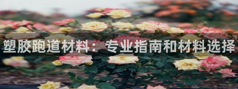 尊龙凯时产品种类：塑胶跑道材料：专业指南和材料选择