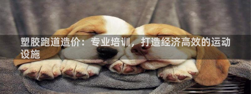 尊龙凯时取款不成功：塑胶跑道造价：专业培训，打造经济