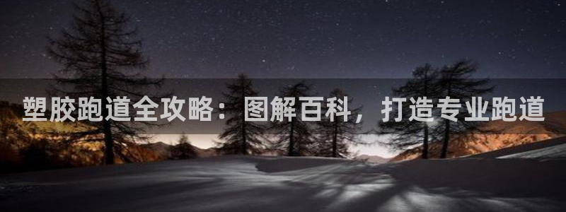 z6com尊龙凯时代理：塑胶跑道全攻略：图解百科，打