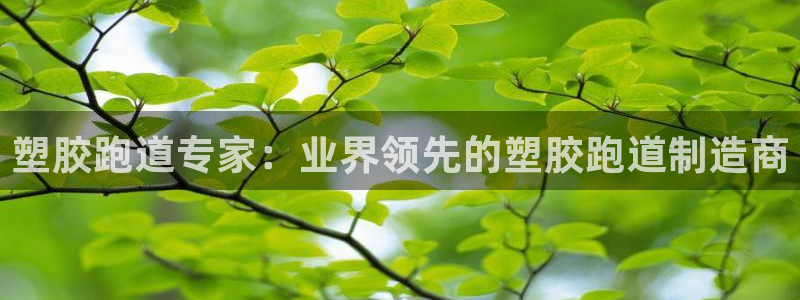 尊龙凯时官网平台：塑胶跑道专家：业界领先的塑胶跑道制
