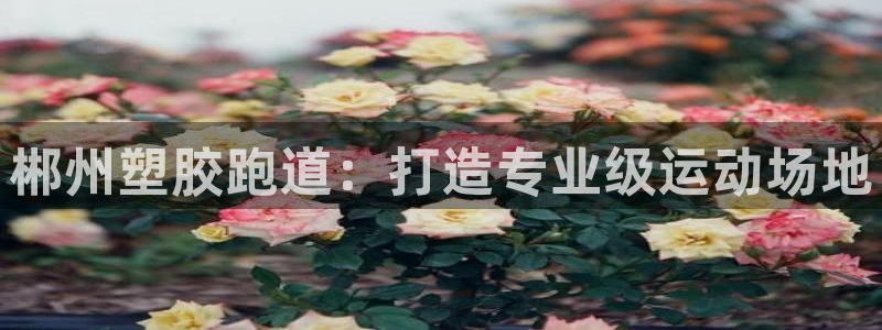z6com尊龙：郴州塑胶跑道：打造专业级运动场地