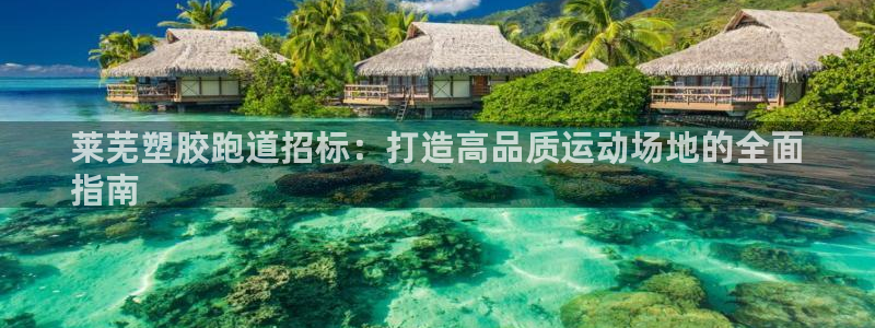 新版尊龙99：莱芜塑胶跑道招标：打造高品质运动场地的全面
指南