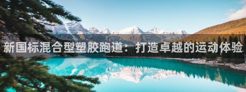 尊龙凯时人生就是搏包装优势：新国标混合型塑胶跑道：打造卓越的运动体验