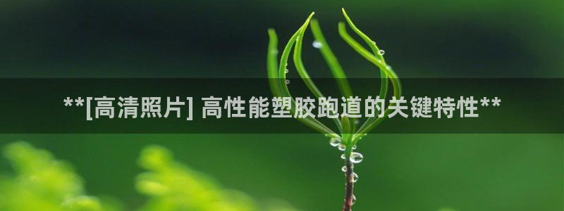 尊龙凯时人生就是搏官：**[高清照片] 高性能塑胶跑