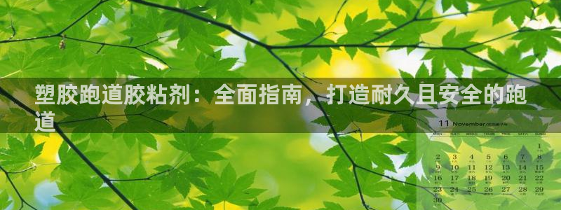 d88尊龙手机登录下载：塑胶跑道胶粘剂：全面指南，打造耐久且安全的跑
道