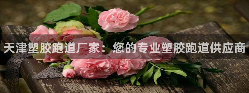 z6com尊龙凯时百家乐：天津塑胶跑道厂家：您的专业