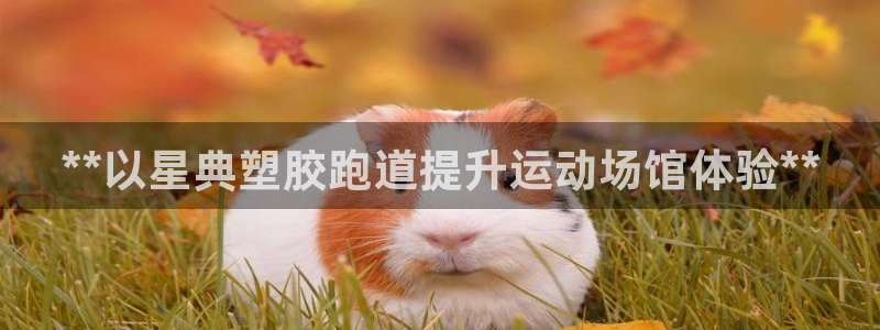 尊龙凯时网娱乐官网：**以星典塑胶跑道提升运动场馆体验**