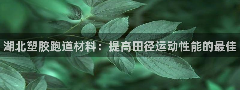 ag尊龙怎么样：湖北塑胶跑道材料：提高田径运动性能的