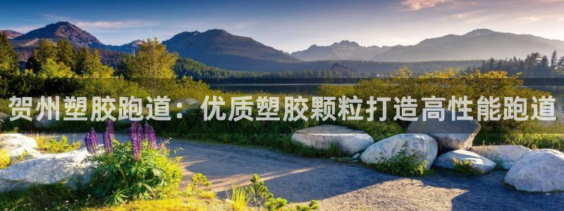 z6尊龙凯时集团：贺州塑胶跑道：优质塑胶颗粒打造高性能跑道