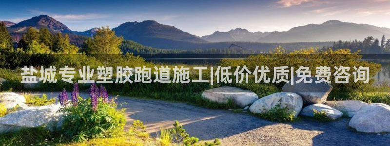尊龙凯时取款有要求吗：盐城专业塑胶跑道施工|低价优质