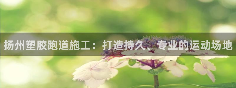 尊龙ag旗舰厅官网登录：扬州塑胶跑道施工：打造持久、专业的运动场地
