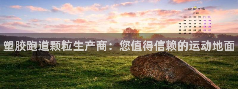 尊龙人生就是博网站：塑胶跑道颗粒生产商：您值得信赖的运动地面