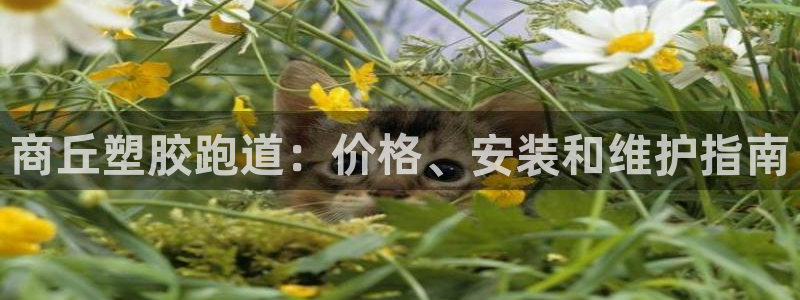 尊龙服饰有限公司地址：商丘塑胶跑道：价格、安装和维护指南