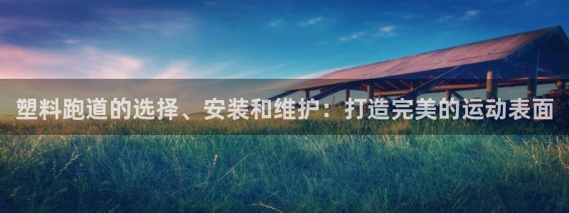 尊龙凯时 - 人生就是搏有假吗：塑料跑道的选择、安装和维护：打造完美的运动表面