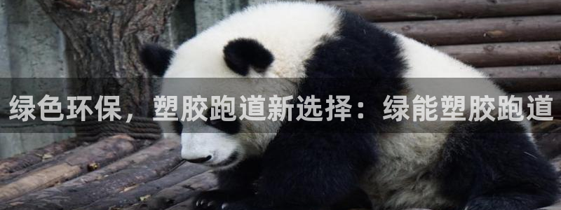 尊龙官网免费下载安装：绿色环保，塑胶跑道新选择：绿能