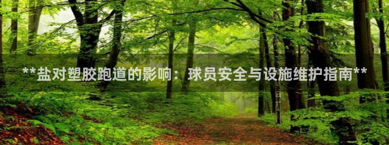 尊龙人生就是博首页：**盐对塑胶跑道的影响：球员安全与设施维护指南**