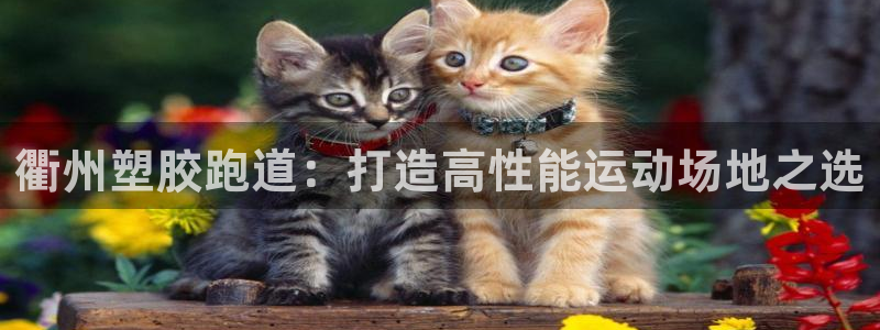 尊龙游戏官方网：衢州塑胶跑道：打造高性能运动场地之选