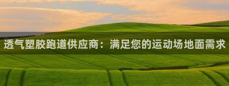 尊龙凯时产品种类：透气塑胶跑道供应商：满足您的运动场地面需求