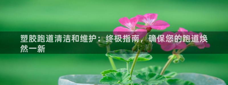 凯时官网手机版下载：塑胶跑道清洁和维护：终极指南，确保您的跑道焕
然一新