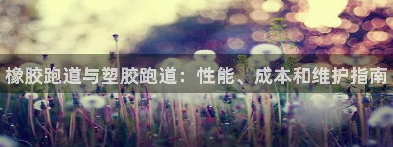 Z6尊龙官网入口：橡胶跑道与塑胶跑道：性能、成本和维