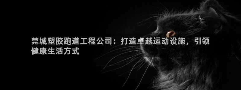 尊龙集团有限公司招聘：莞城塑胶跑道工程公司：打造卓越