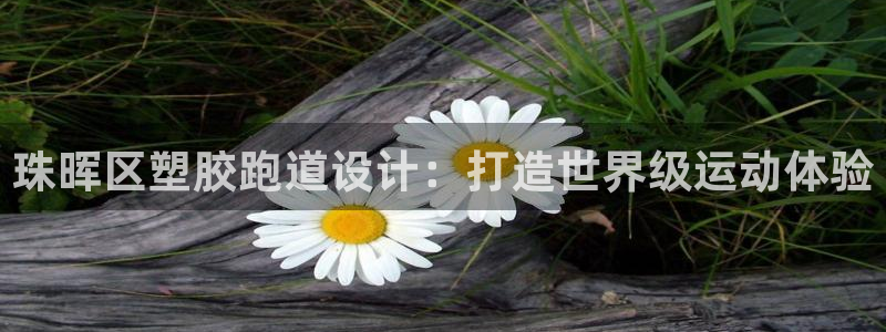 尊龙凯时 - 人生就是搏有假吗：珠晖区塑胶跑道设计：