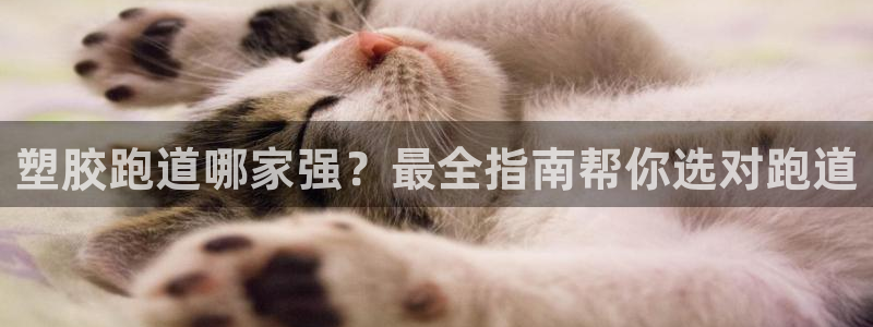尊龙贴吧：塑胶跑道哪家强？最全指南帮你选对跑道