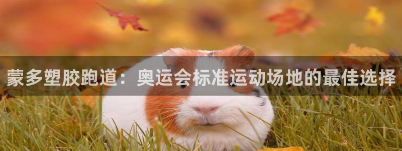 凯时k88最新：蒙多塑胶跑道：奥运会标准运动场地的最佳选择
