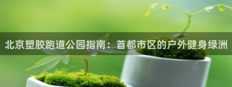 尊龙网址是多少：北京塑胶跑道公园指南：首都市区的户外健身绿洲