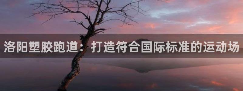 d88尊龙z6：洛阳塑胶跑道：打造符合国际标准的运动