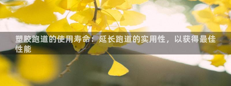 尊龙游戏官网：塑胶跑道的使用寿命：延长跑道的实用性，以获得最佳
性能