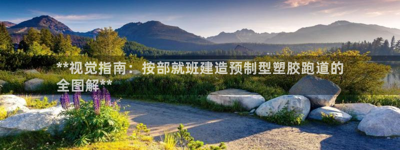 尊龙官网免费下载安卓：**视觉指南：按部就班建造预制型塑胶跑道的
全图解**