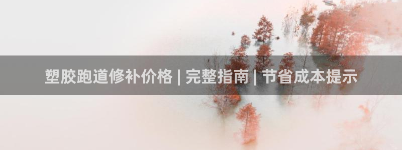 尊龙凯时app安装：塑胶跑道修补价格 | 完整指南 | 节省成本提示